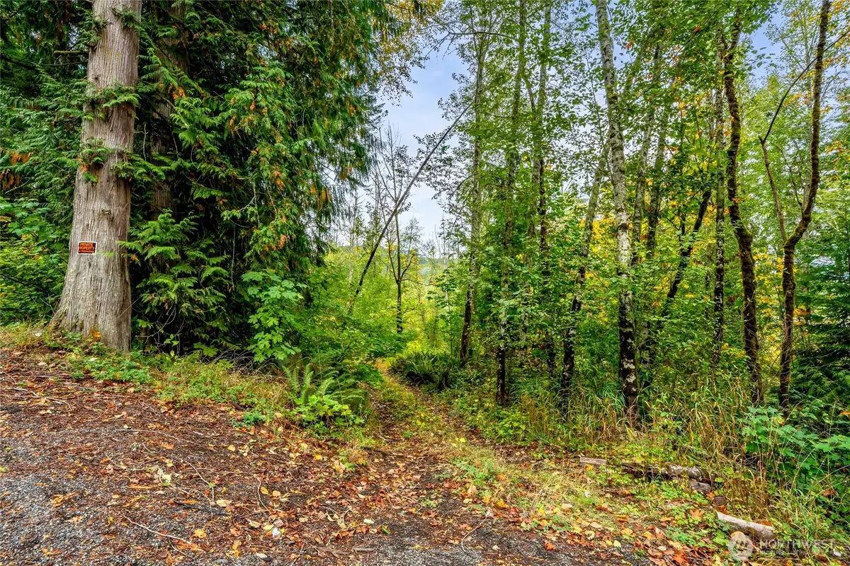 0 Mineral Hill Road, Mineral, WA 98356 - Image #1