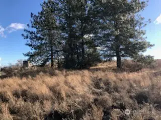 39680 Star Barn Road N #5, Davenport, WA 99122 - Image #1