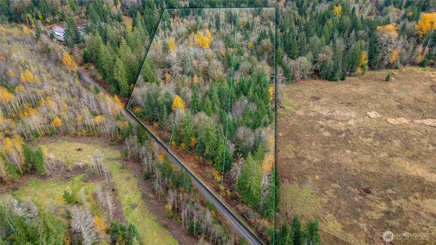 7587 Bobcat Lane, Maple Falls, WA 98266 - Image #3