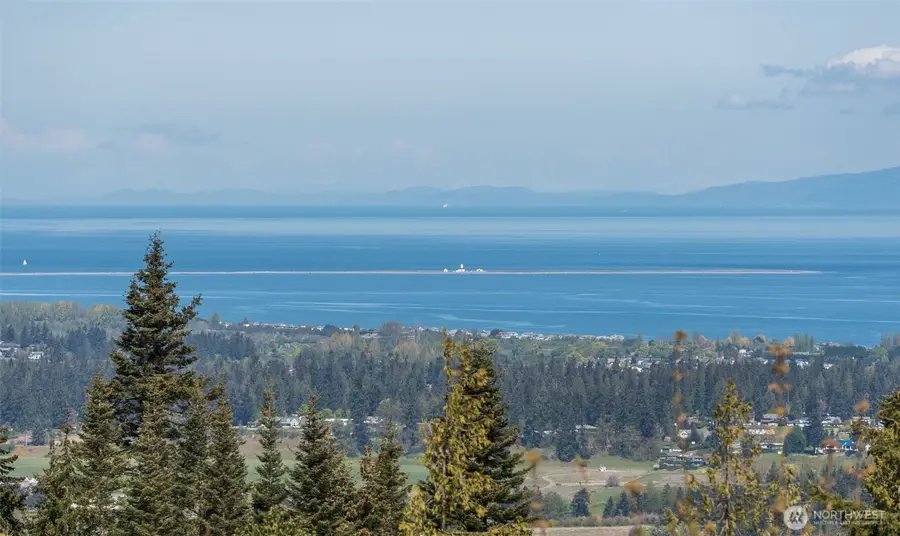 113 Quails Roost Road, Sequim, WA 98382 - Image #3