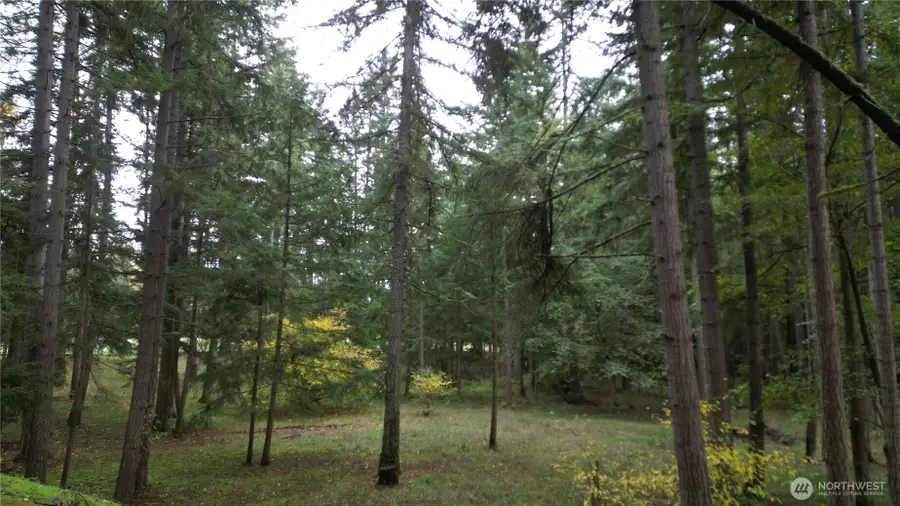 36201 S 62nd Avenue, Roy, WA 98407 - Image #2