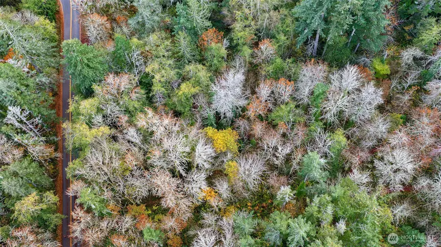 0 Hyak Place, Fox Island, WA 98333 - Image #3