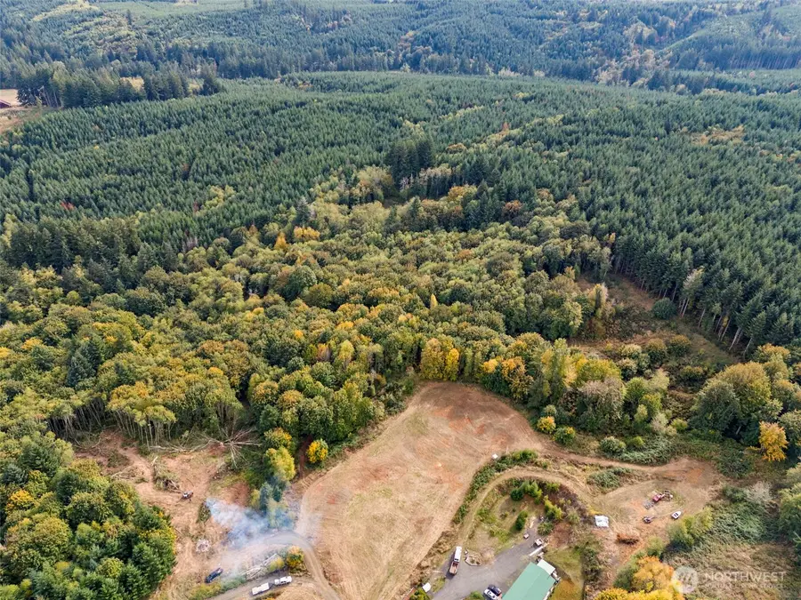 251 Crego Hill Road, Chehalis, WA 98532 - Image #3