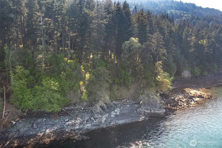 104 Barn Owl Trail, Orcas, WA 98245 - Image #3