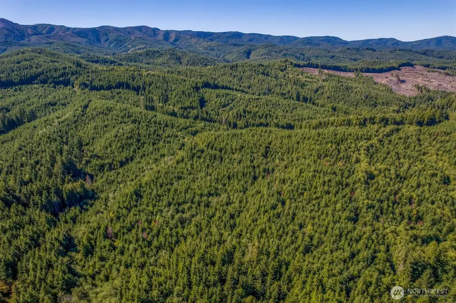 6 Parpala Road #6, Naselle, WA 98638 - #2