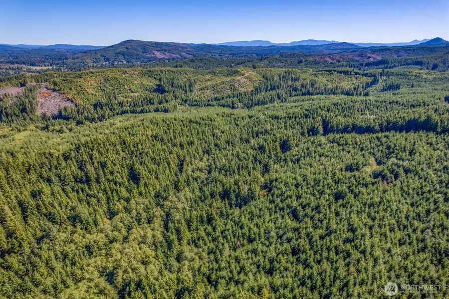 6 Parpala Road #6, Naselle, WA 98638 - #3