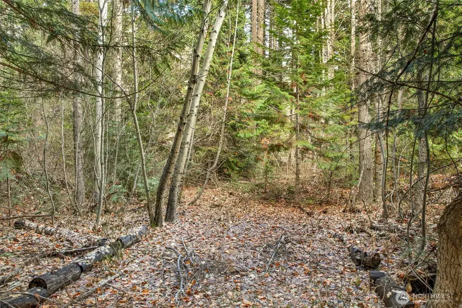 0 0 #9-10, Leavenworth, WA 98826 - Image #2