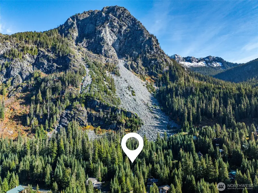 22 Alpental Street, Snoqualmie Pass, WA 98068 - #3