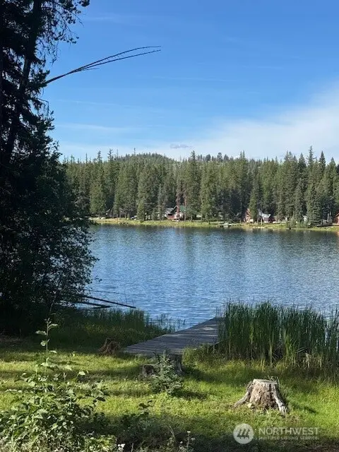 478 Thompson Road #Tax 13 Pt Lot 4, Riverside, WA 98849