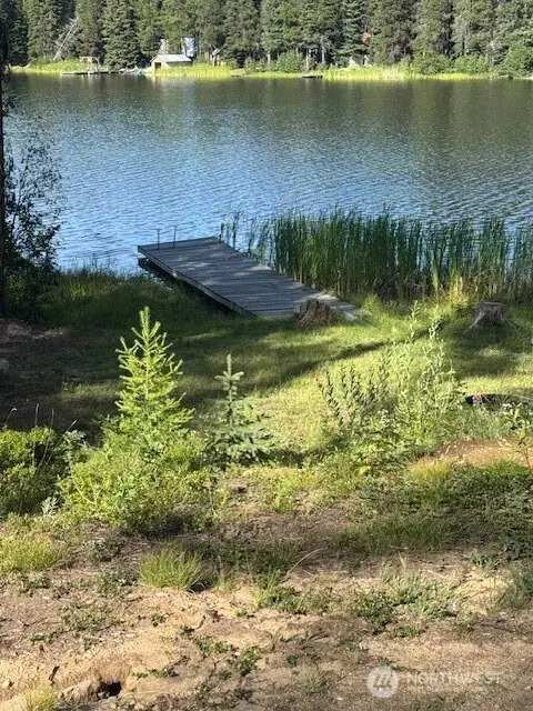 478 Thompson Road #Tax 13 Pt Lot 4, Riverside, WA 98849 - Image #2