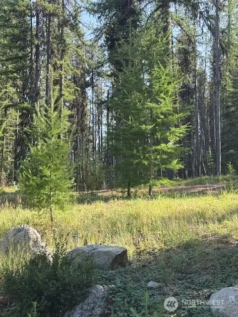 478 Thompson Road #Tax 13 Pt Lot 4, Riverside, WA 98849 - Image #3