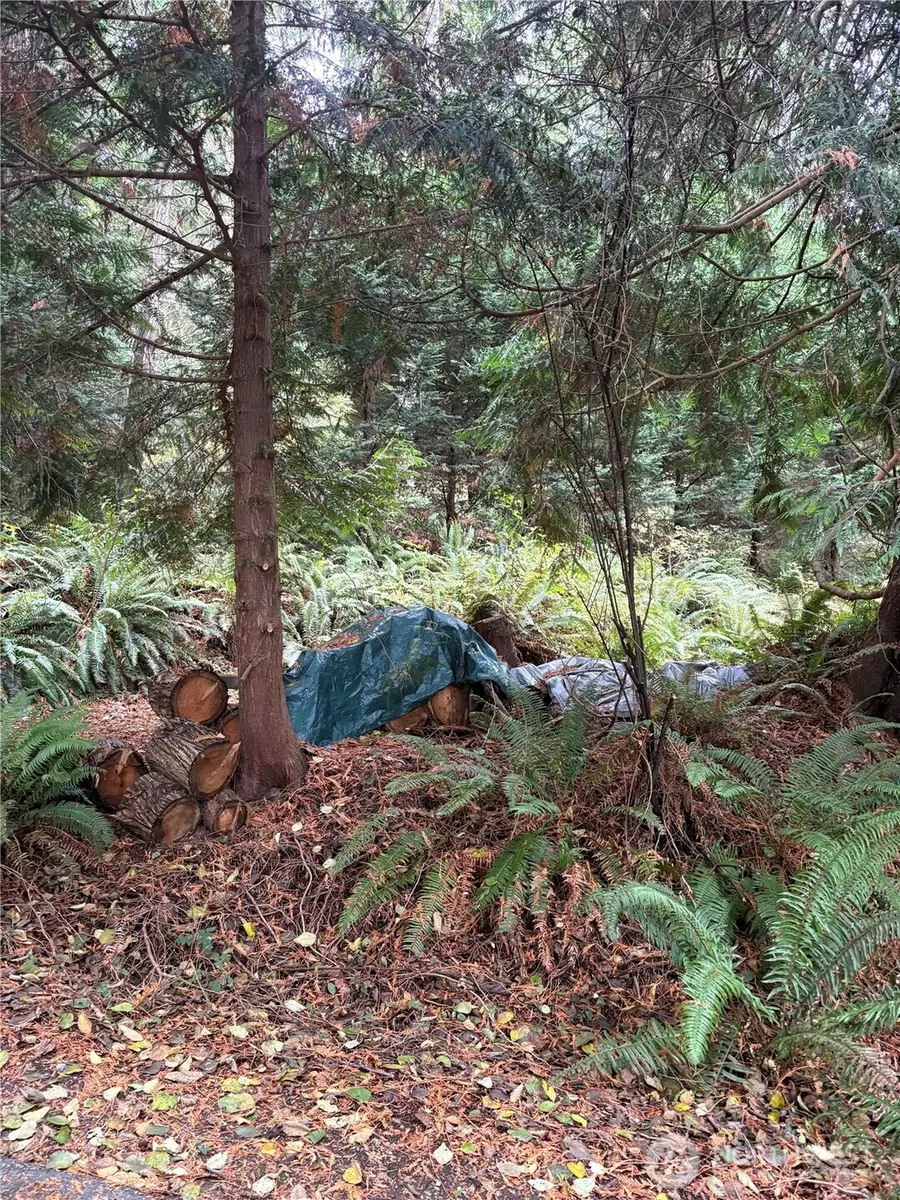 1131 Harbortop Terrace, Greenbank, WA 98253 - Image #3