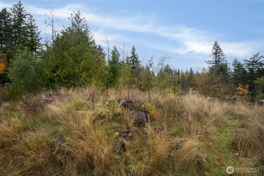 0 184th Avenue E, Bonney Lake, WA 98391 - Image #3