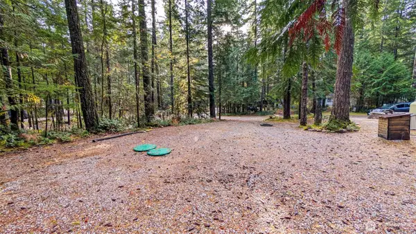 61 Wilderness Way, Deming, WA 98244