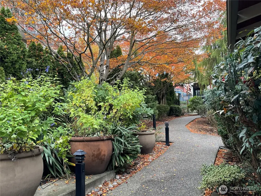 1311 12th Avenue S #C104, Seattle, WA 98144 - Image #3