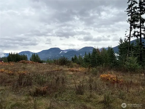 2 Forest Road 52, Packwood, WA 98361