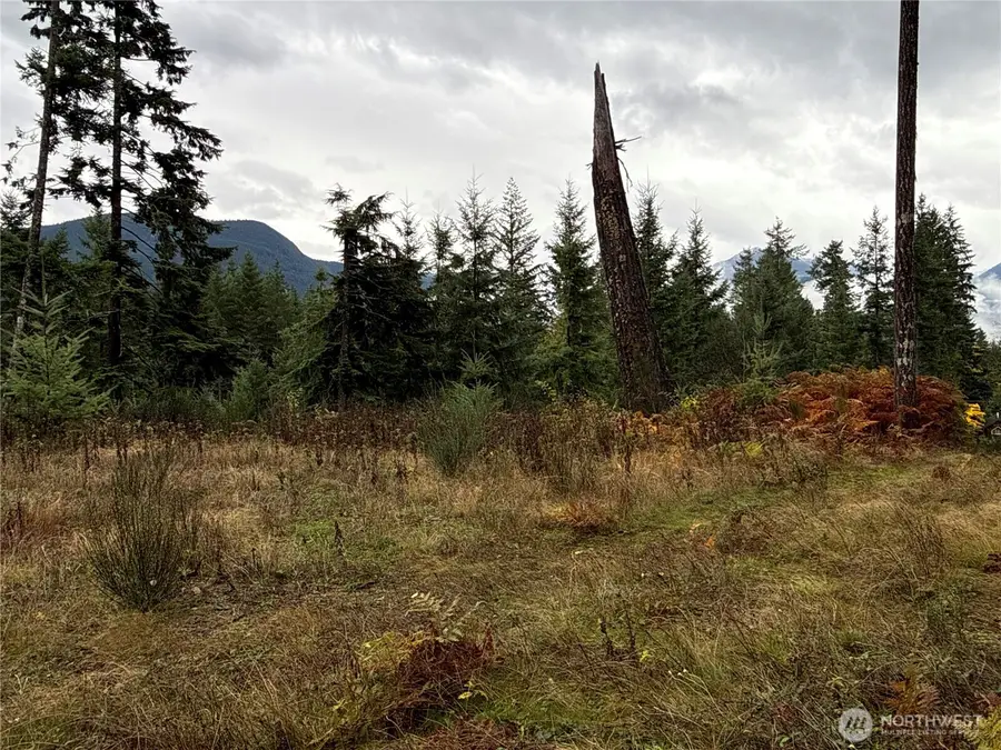 2 Forest Road 52, Packwood, WA 98361 - Image #2