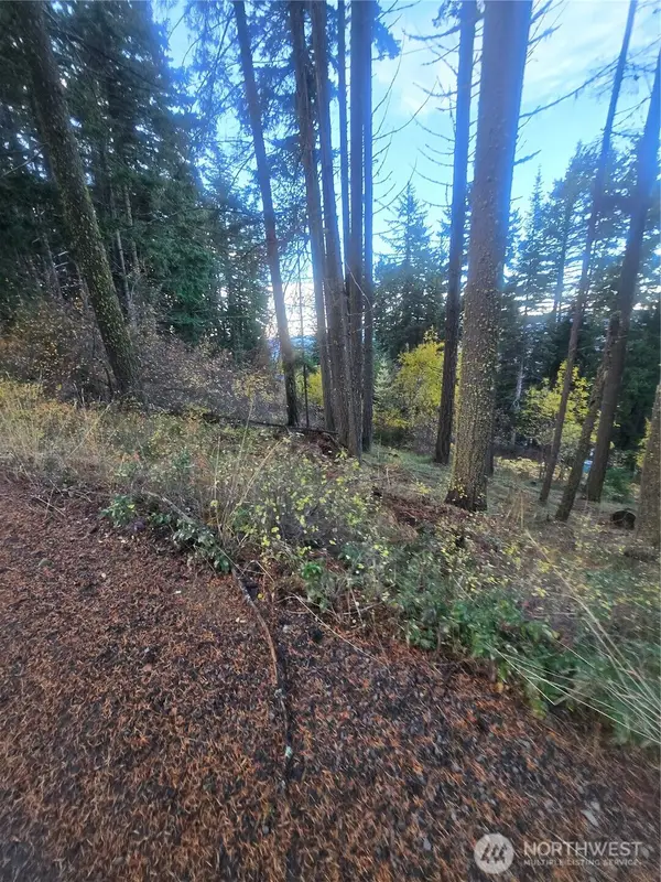 680 Horse Heaven Rd, Cle Elum, WA 98922