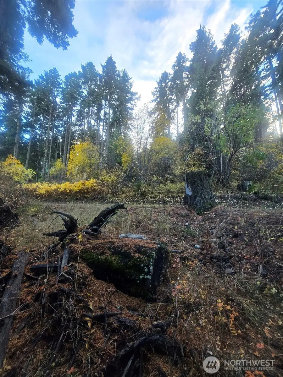 680 Horse Heaven Rd, Cle Elum, WA 98922 - Image #3