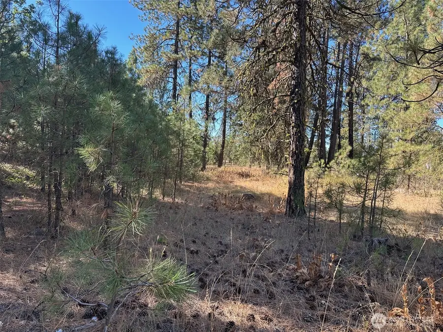 1 Garrison Road #1, Goldendale, WA 98620 - #3