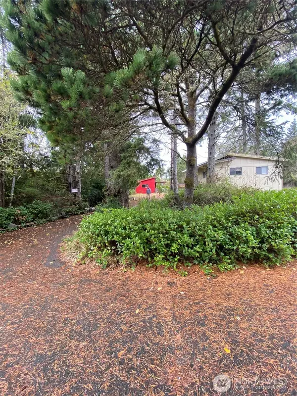 581 NE Dolphin, Ocean Shores, WA 98569