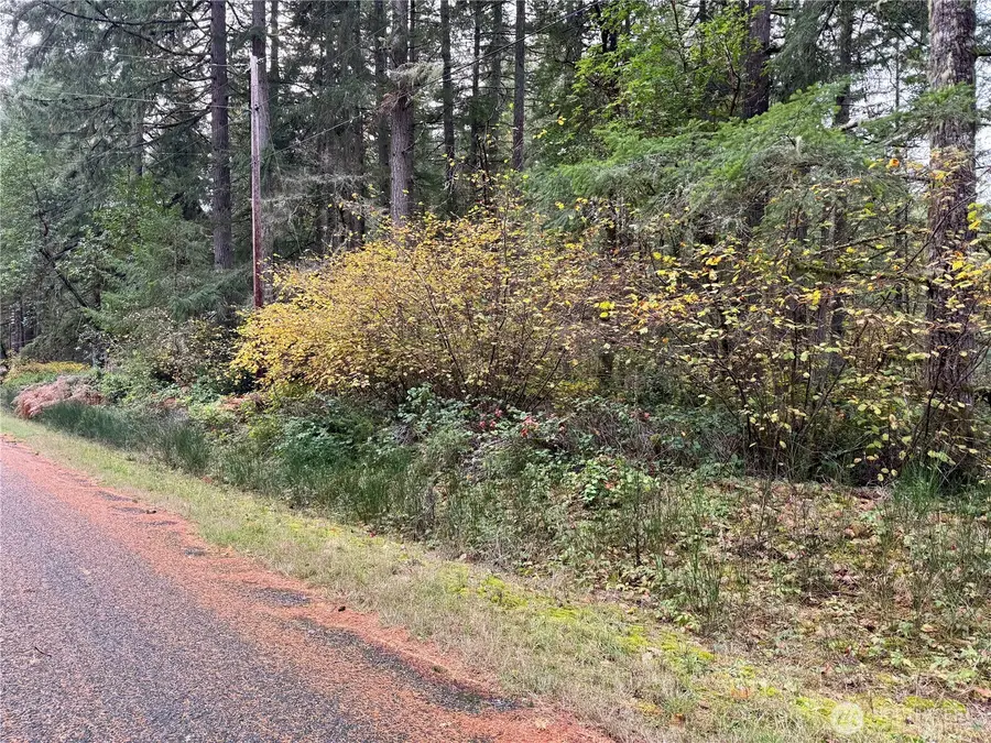 10824 Madrona Drive #73, Anderson Island, WA 98303 - Image #2