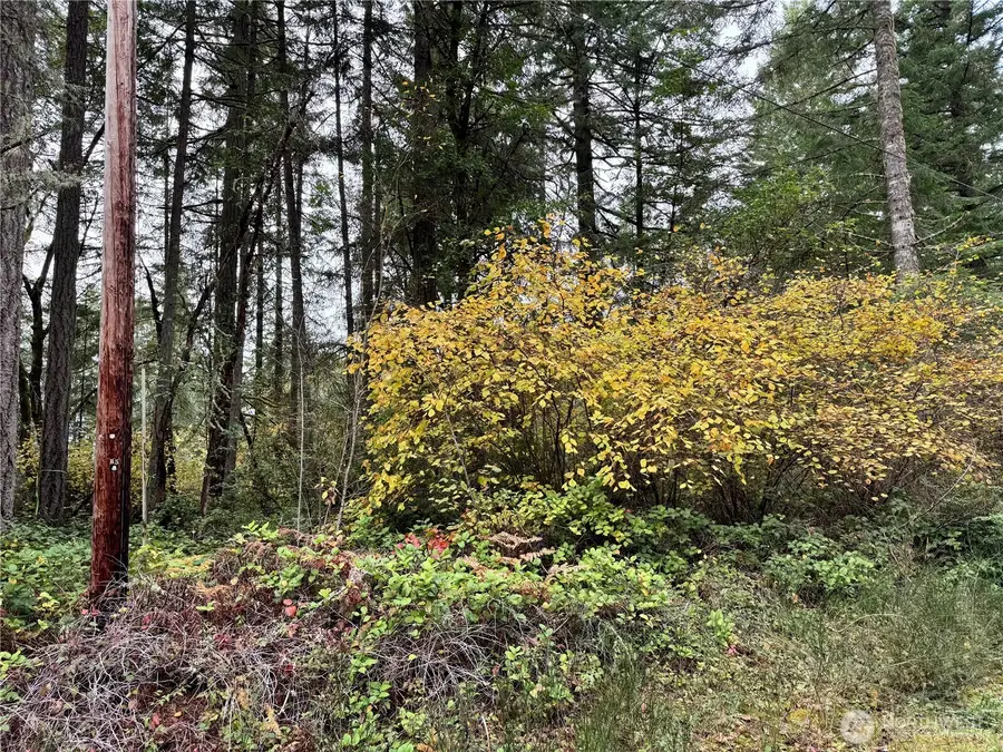 10824 Madrona Drive #73, Anderson Island, WA 98303 - Image #3