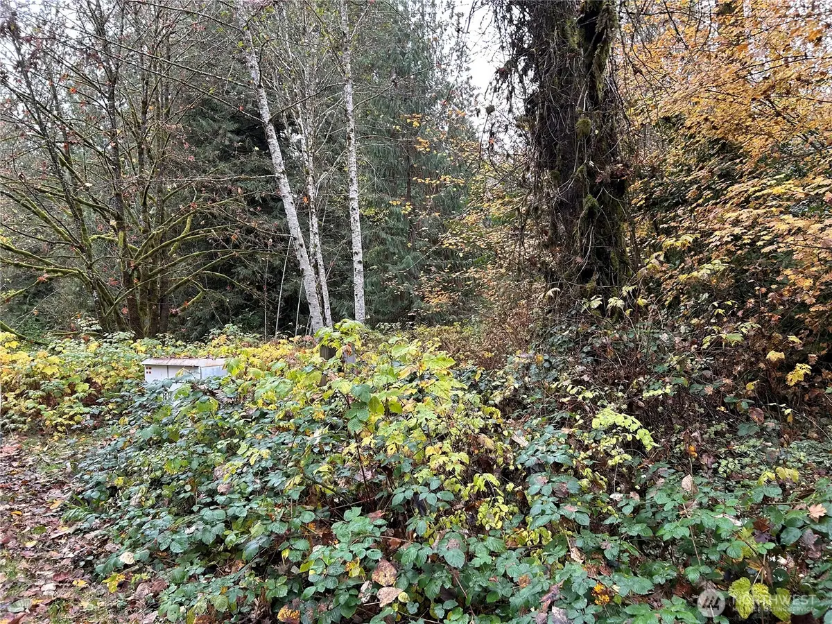 54165 Steelhead Landing Road, Concrete, WA 98237 - Image #1