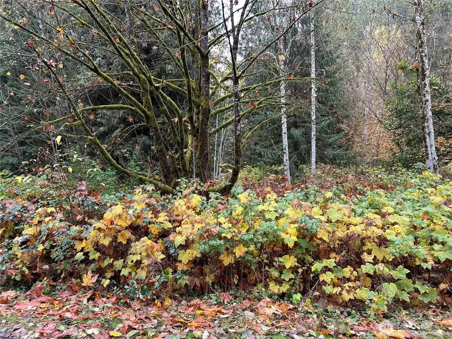 54165 Steelhead Landing Road, Concrete, WA 98237 - Image #2