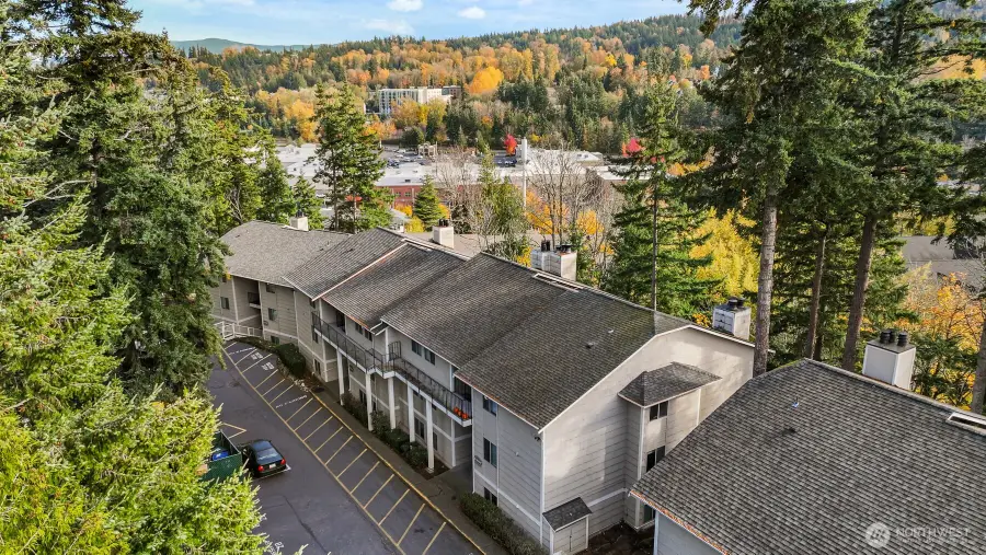 3104 Bill Mcdonald Parkway #D101, Bellingham, WA 98225 - Image #2