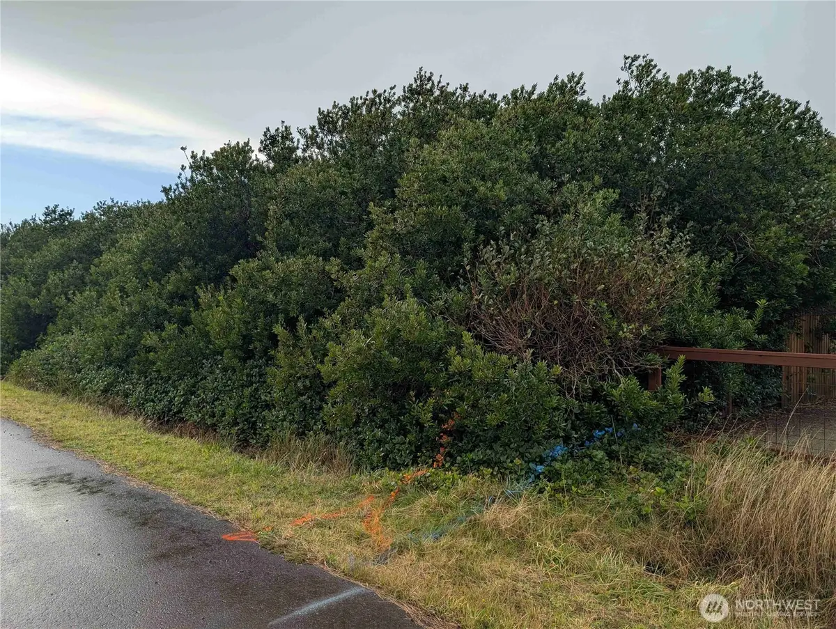 430 Salina Cruz Avenue, Ocean Shores, WA 98569 - Image #1