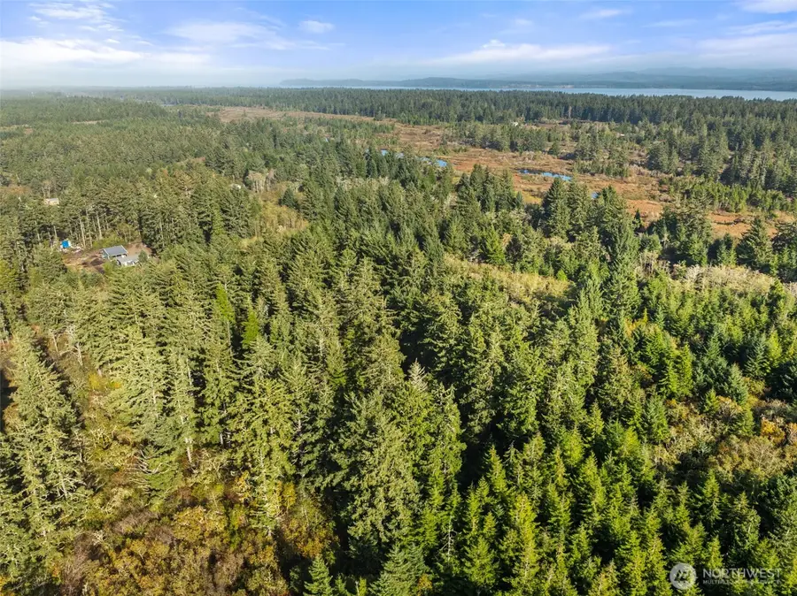 1 147th Street, Long Beach, WA 98631 - Image #3