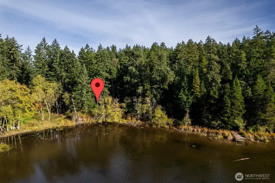 11104 Matthews Way, Anderson Island, WA 98303 - Image #3