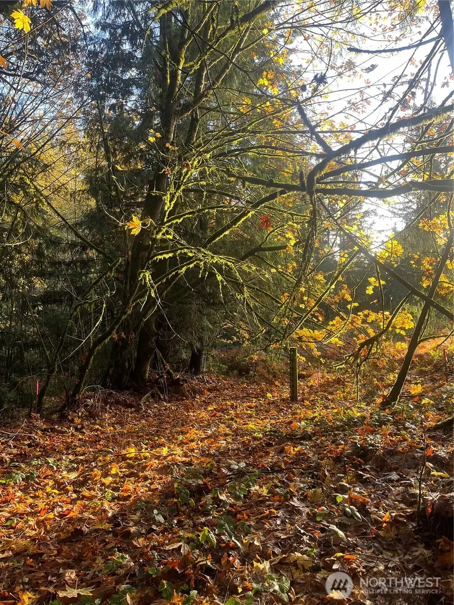 8621 SE Bethel Burley Road, Port Orchard, WA 98367 - Image #2