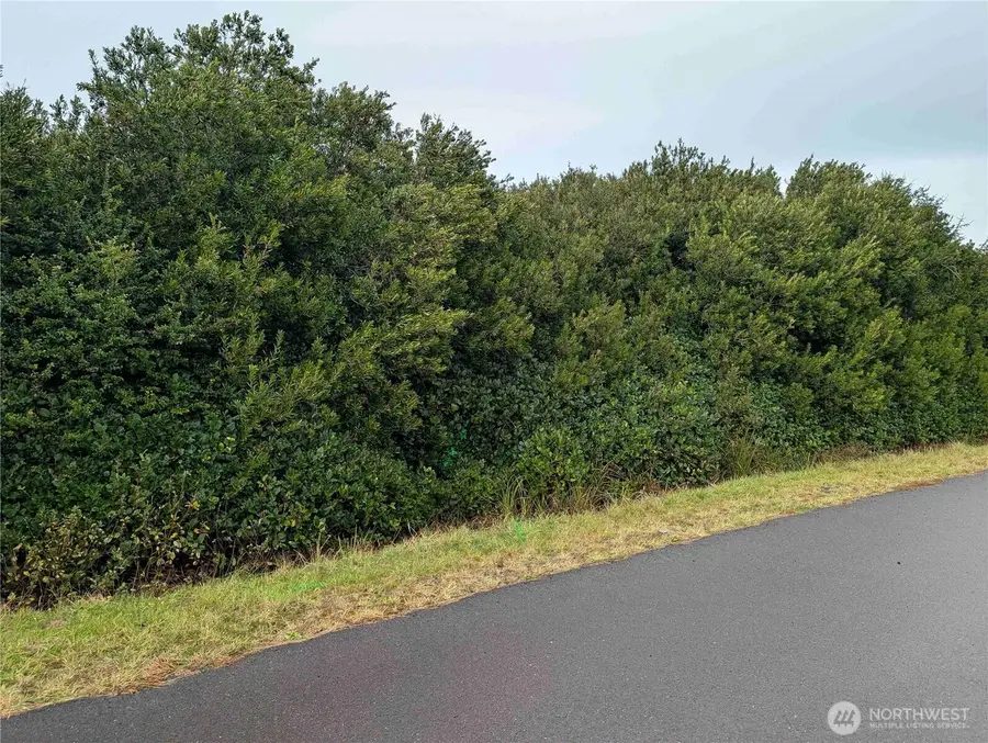 430 Salina Cruz Avenue, Ocean Shores, WA 98569 - Image #2