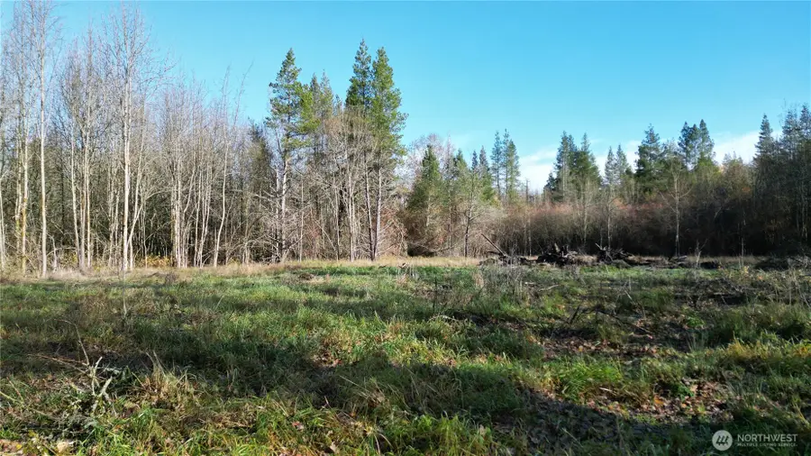 0 Jackson Hwy, Toledo, WA 98591 - Image #2