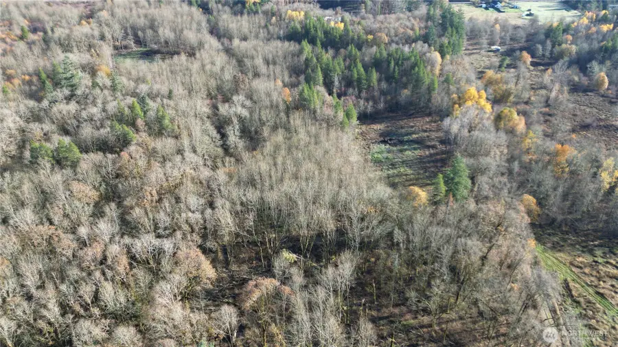 0 Jackson Hwy, Toledo, WA 98591 - Image #3