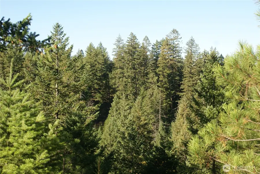 8 Ginger Way #8, Goldendale, WA 98620 - #2