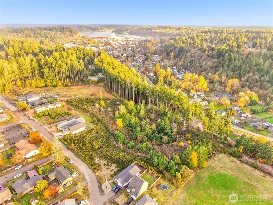 509 W B Street, Shelton, WA 98584 - Image #3