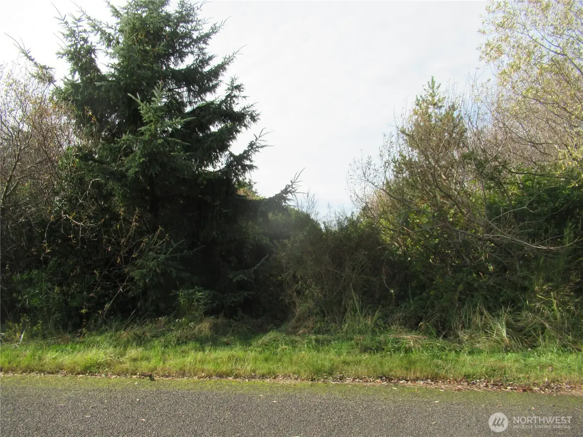 8 Driftwood Drive, Ocean City, WA 98569 - Image #1