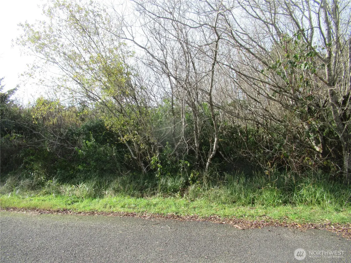 12 Driftwood Drive, Ocean Shores, WA 98569 - Image #1