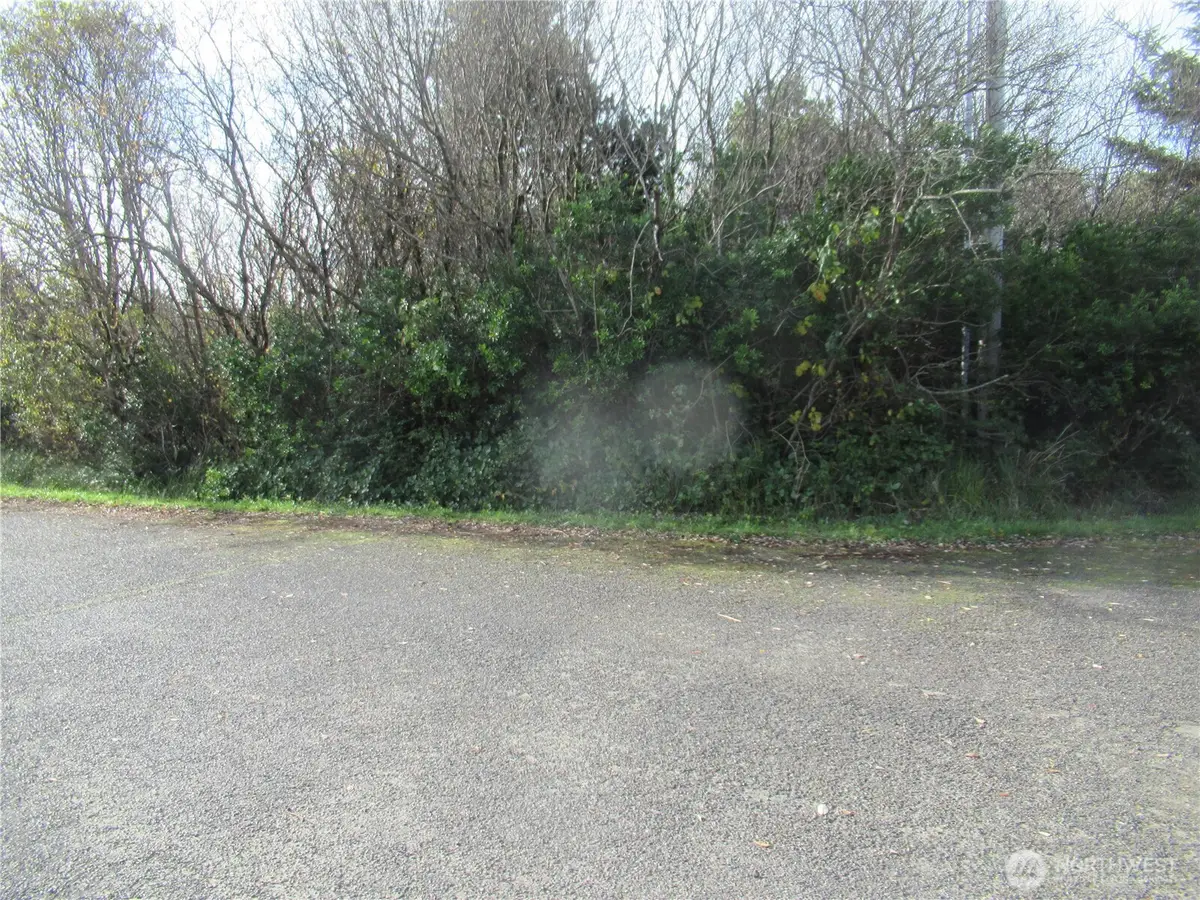 16 Driftwood Drive, Ocean Shores, WA 98569 - Image #1