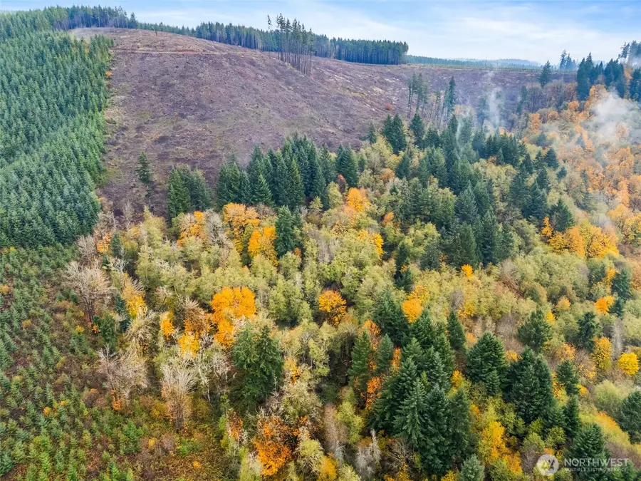 1586 King Road, Winlock, WA 98596 - Image #2