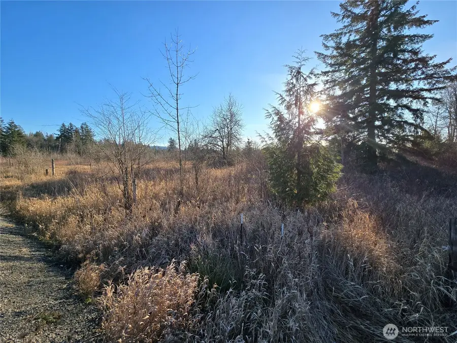 40310 Eatonville Cutoff Road, Eatonville, WA 98328 - Image #3