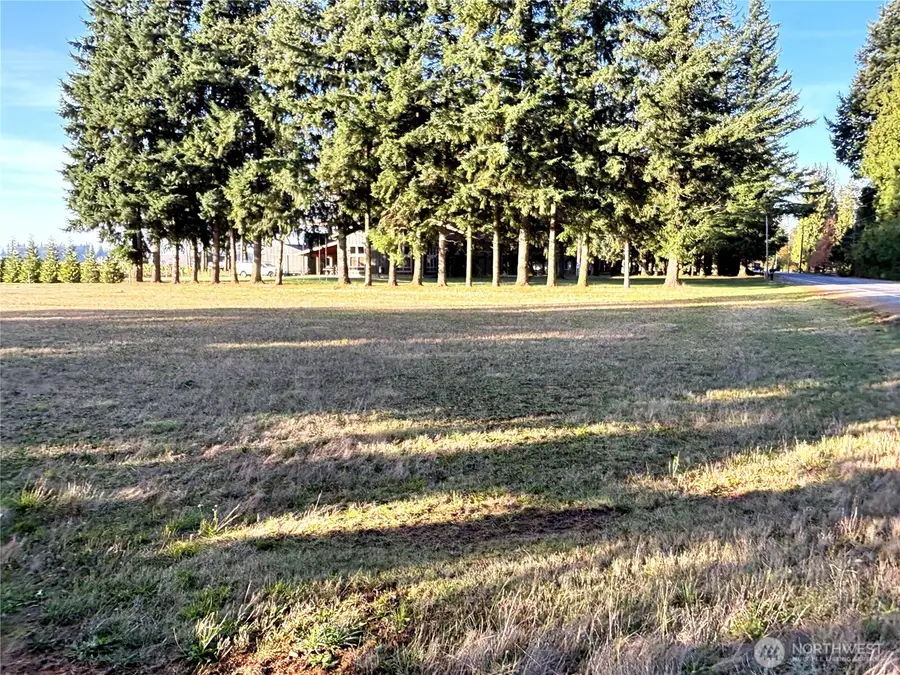0 Loomis Trail Rd, Lynden, WA 98264 - Image #3