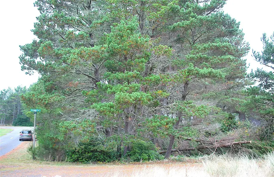 0 Veterans Avenue #lot 10 & South half lot 11, Westport, WA 98595 - Image #3