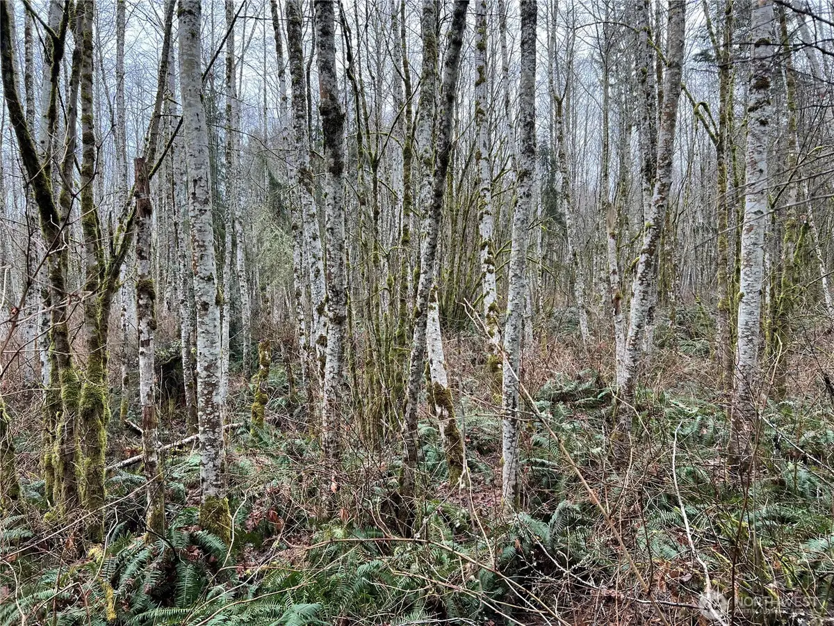 3 Scenic Drive, Poulsbo, WA 98370 - Image #1