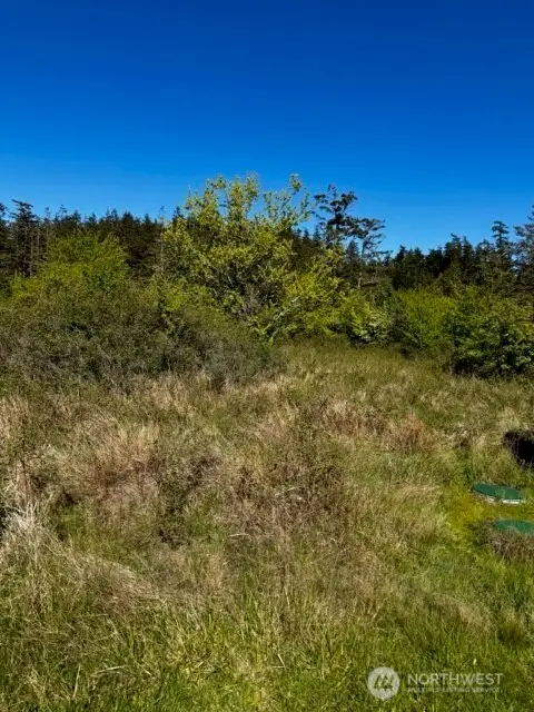 16 Airport Perimeter Way #16, Lopez, WA 98221 - Image #2