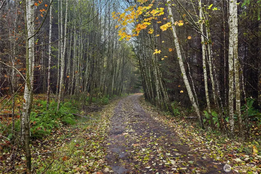 2983 SE Bloomfield Road, Shelton, WA 98584 - Image #2