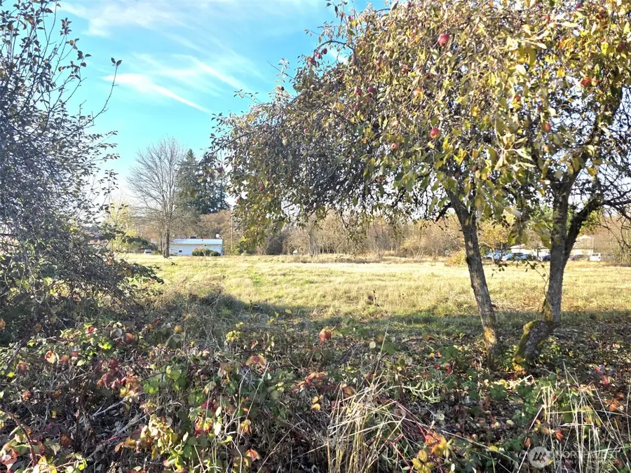 606 Yelm Avenue W, Yelm, WA 98597 - Image #2